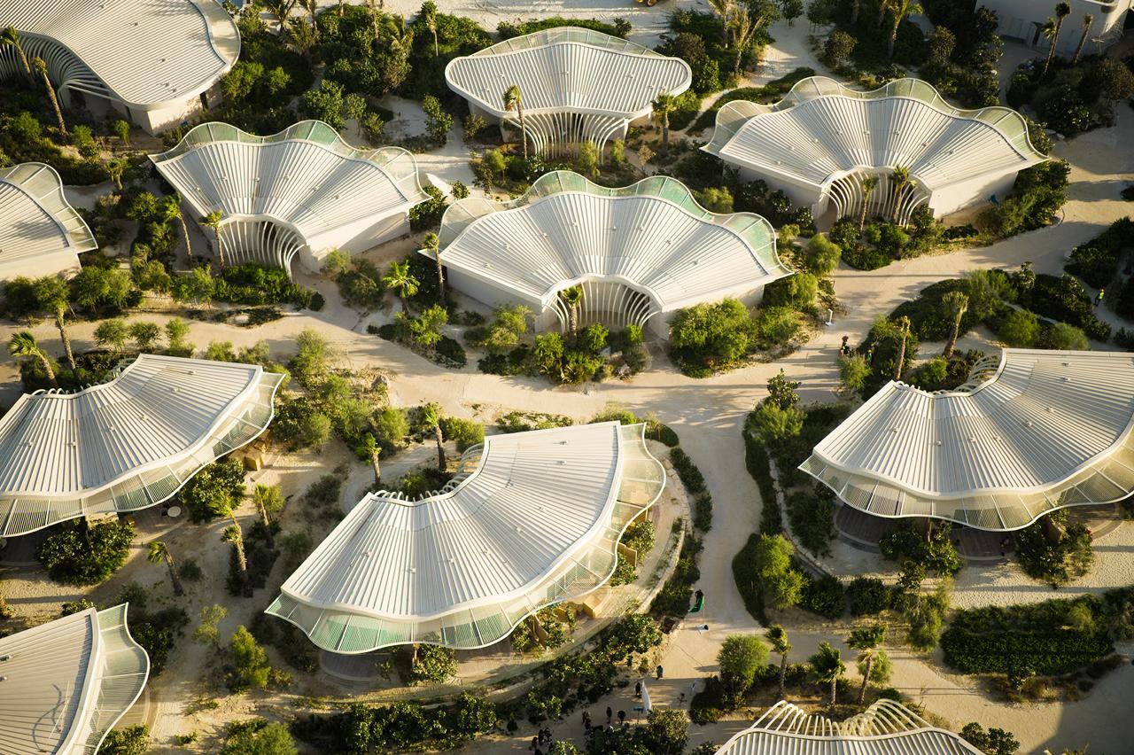 جزيرة شورى.. الوجهة البحرية الاستثنائية في قلب البحر الأحمر