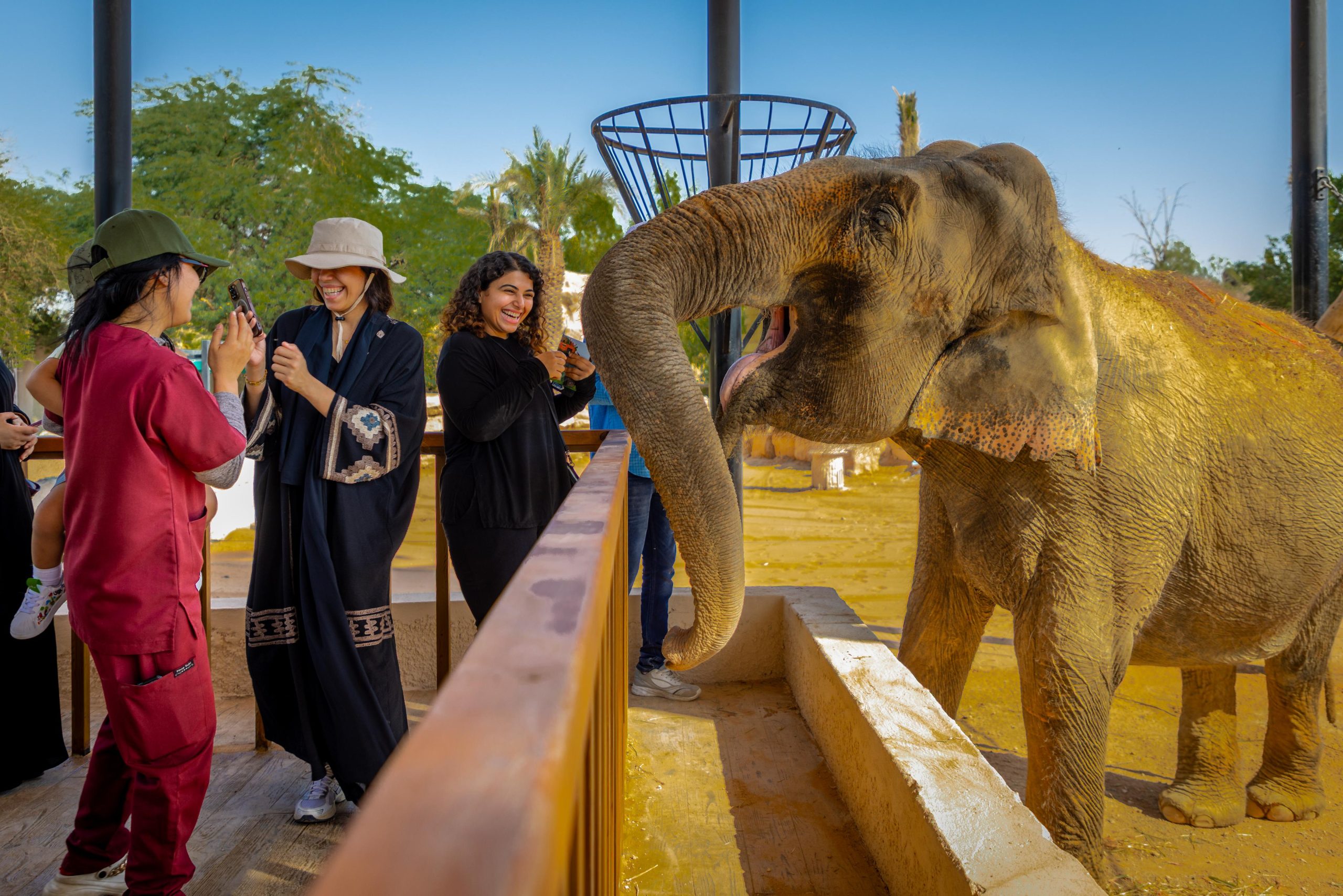 تأكد غياب الثلاثي عن النصر في مواجهة الخليج