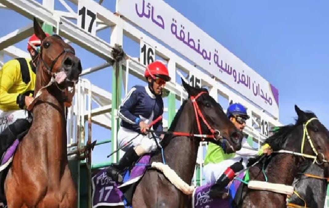4 أشواط تُدشن موسمًا استثنائيًا لمهرجان الفروسية بحائل غدًا