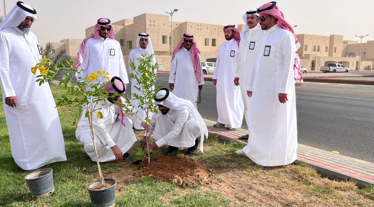 أكثر من 500 ألف وردة وشجرة تزين نجران في 2025