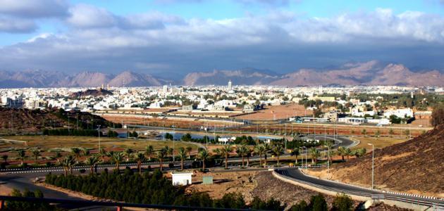 الصحة العالمية تعتمد حائل «مدينة صحية» بعد تحقيقها 80 معيارًا عالميًا