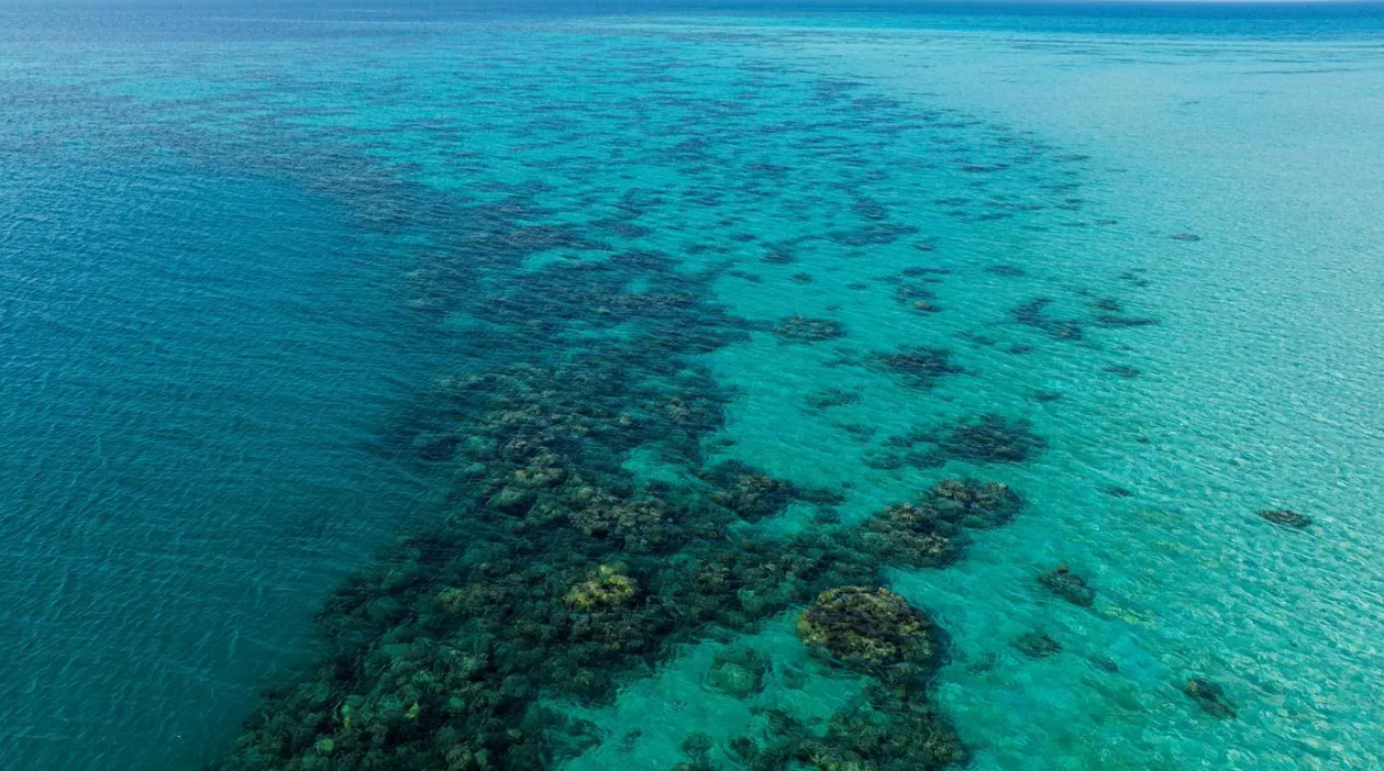 الثقوب الزرقاء.. كنوز جيولوجية في أعماق البحار غرب السعودية