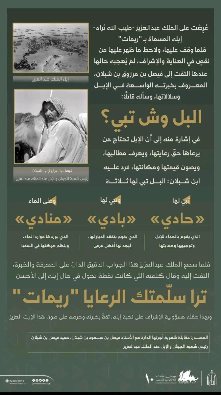 الدارة توثق رواية تاريخية عن عناية الملك عبدالعزيز بالإبل وتراثها 