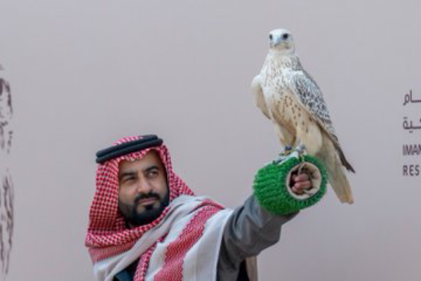 سفير هولندا من ملهم : سباقات الصقور بالسعودية تُدار بتقنيات عالمية 