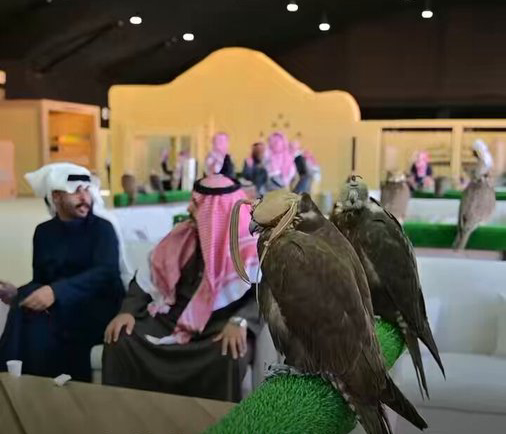 227 صقرًا تتنافس في رابع أيام مهرجان الملك عبدالعزيز بملهم 