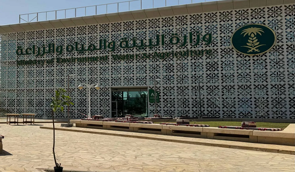 “البيئة” تشدد على الحد من الرعي الجائر لحماية الغطاء النباتي
