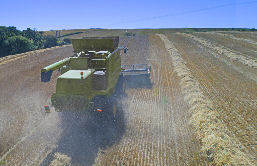 الدكة تقرب نجم النصر من الدوري الإنجليزي