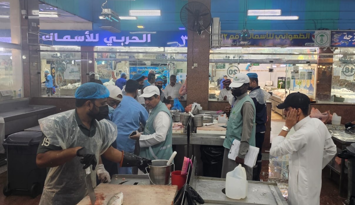 رصد 9 مخالفات ومصادرة 160 كيلو أسماك فاسدة في جولة رقابية بمكة 