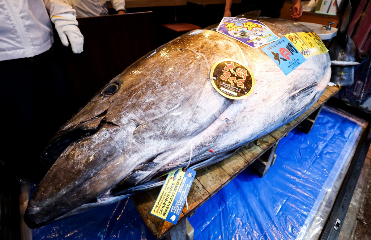 الدفاع المدني في غزة يعلق إزالة أخطار المباني المتضررة بسبب نفاد الوقود