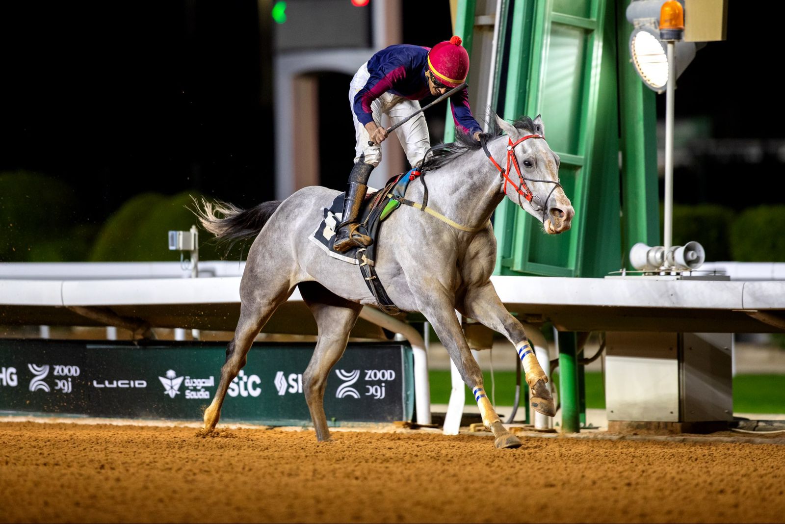 أمانة جدة ترفع أكثر من 11.4 مليون طن من النفايات الصلبة في 2025