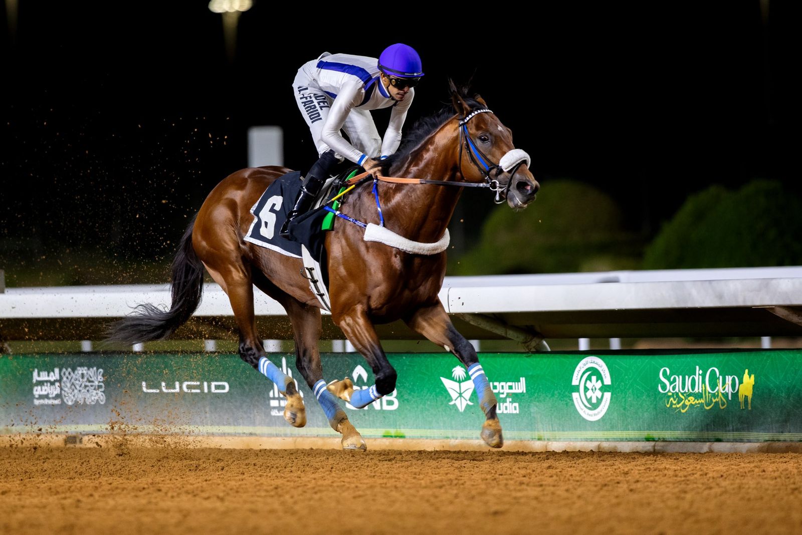 أمانة جدة ترفع أكثر من 11.4 مليون طن من النفايات الصلبة في 2025