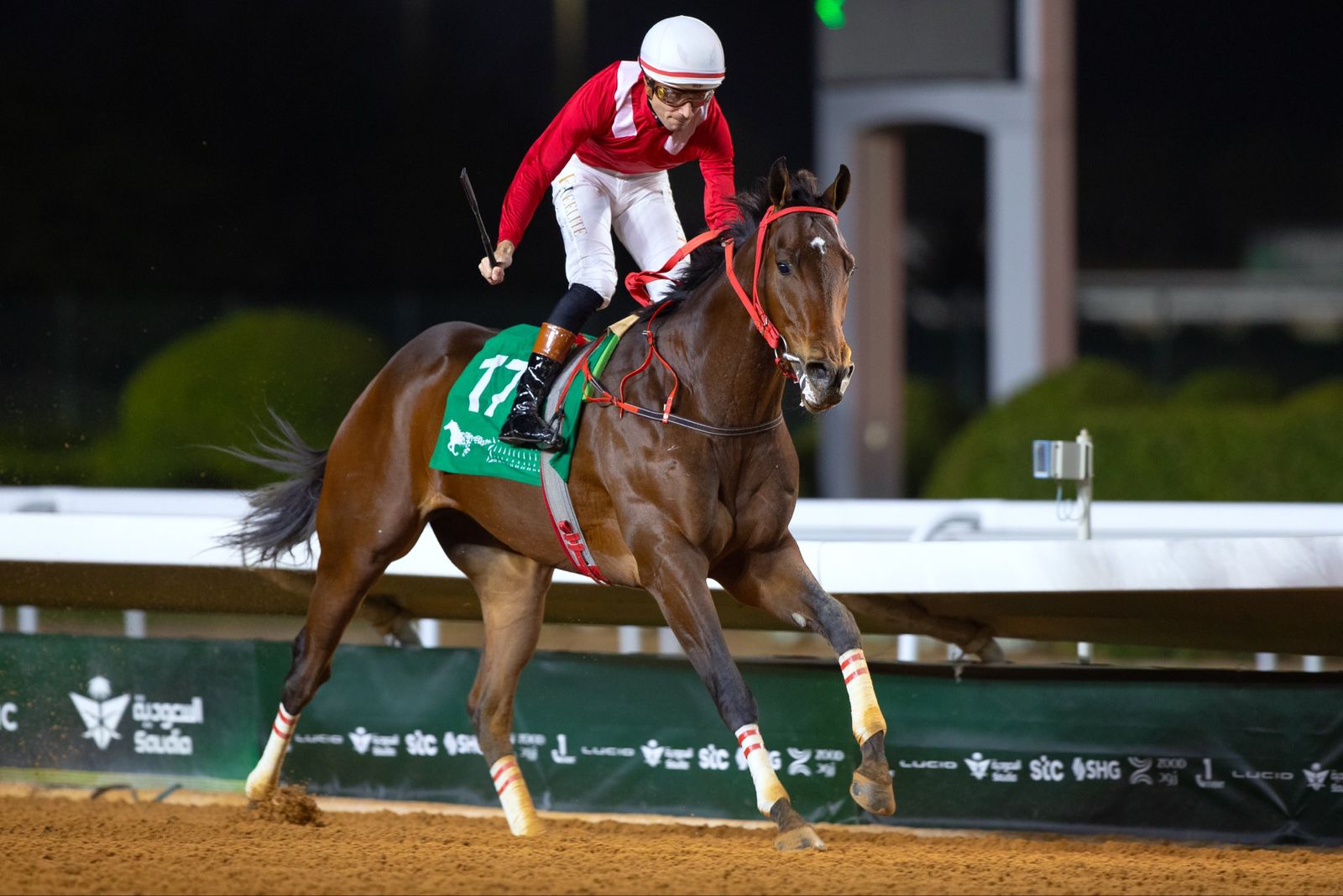 أمانة جدة ترفع أكثر من 11.4 مليون طن من النفايات الصلبة في 2025