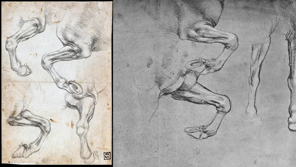 استخراج حمض نووي من لوحة منسوبة لدافنشي.. هل عثرنا على شفرة العبقري؟