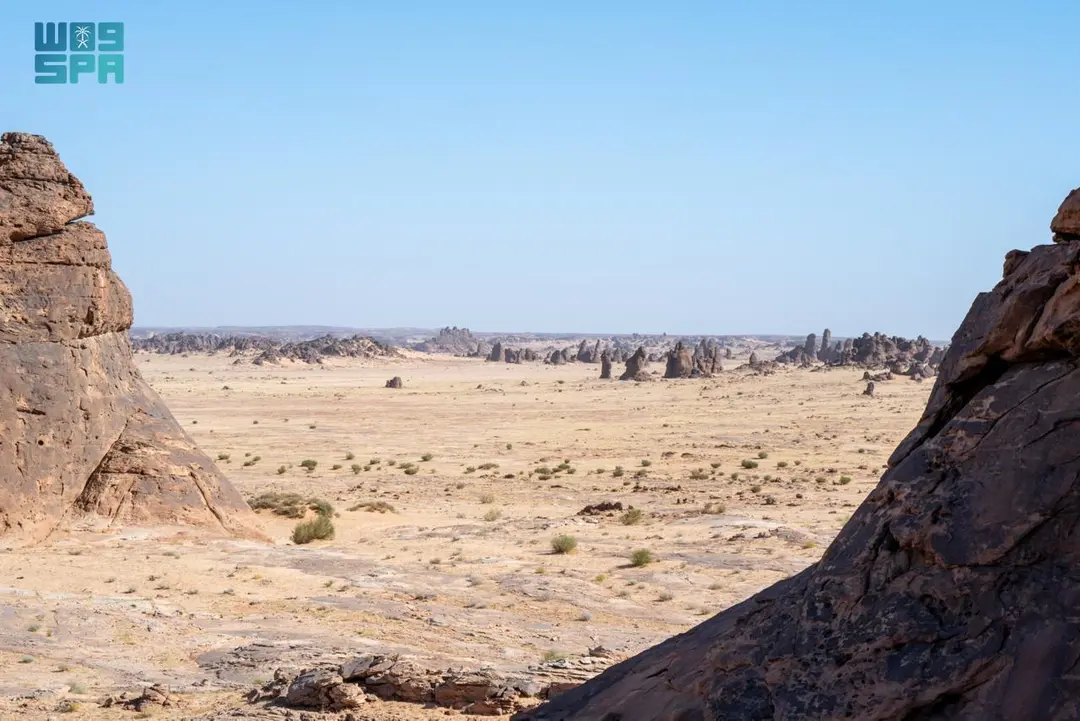 اكتشاف أحفوري فريد في العُلا عمره 465 مليون عام 