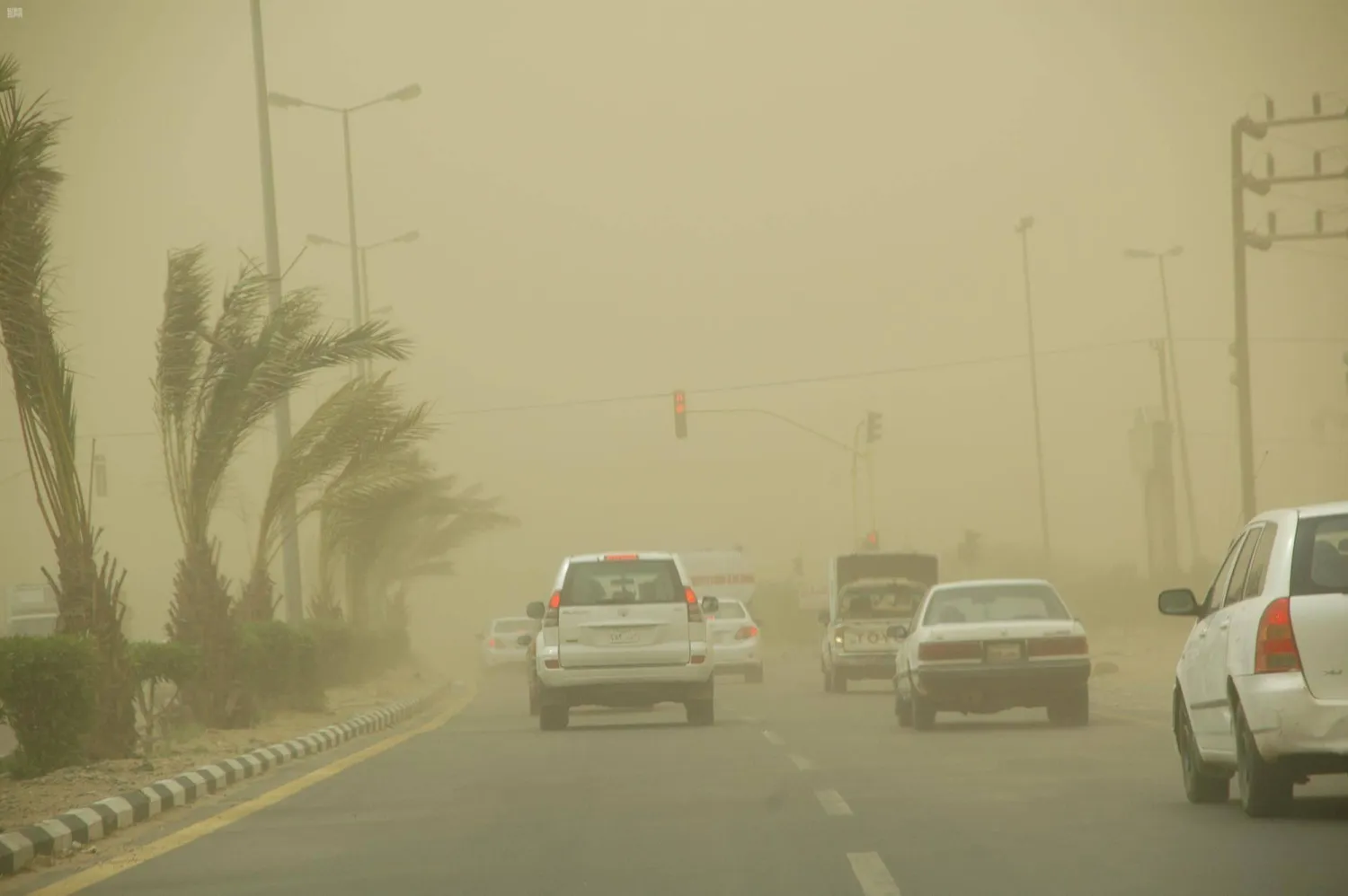 المملكة تسجل ساعتين من النشاط الغباري ضمن 15 ساعة بالمنطقة أمس الاثنين 