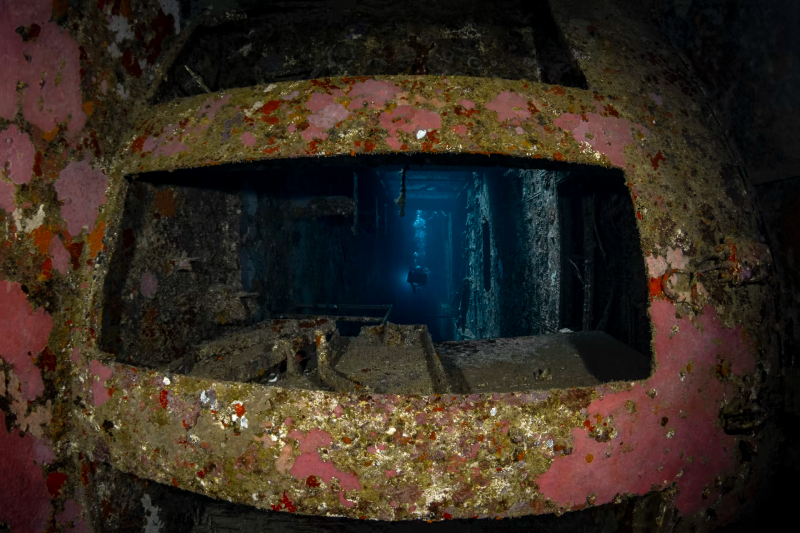 20 عاما على الكارثة.. كيف ابتلع البحر العبّارة السلام 98 ؟ 