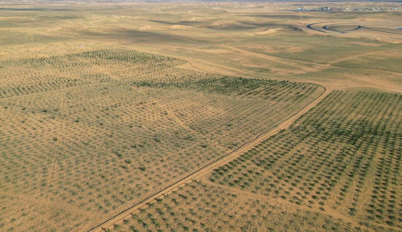 كيف أعادت «السعودية الخضراء» الحياة لمليون هكتار من الصحراء؟ 