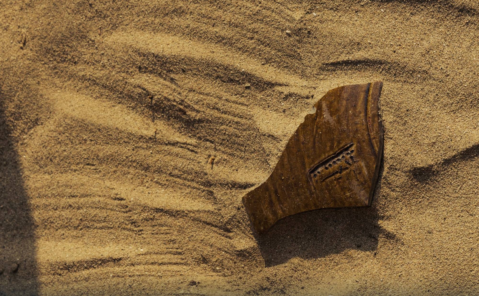 بطلب باكستاني.. ترمب يمدد وقف إطلاق النار مع طهران مؤقتا