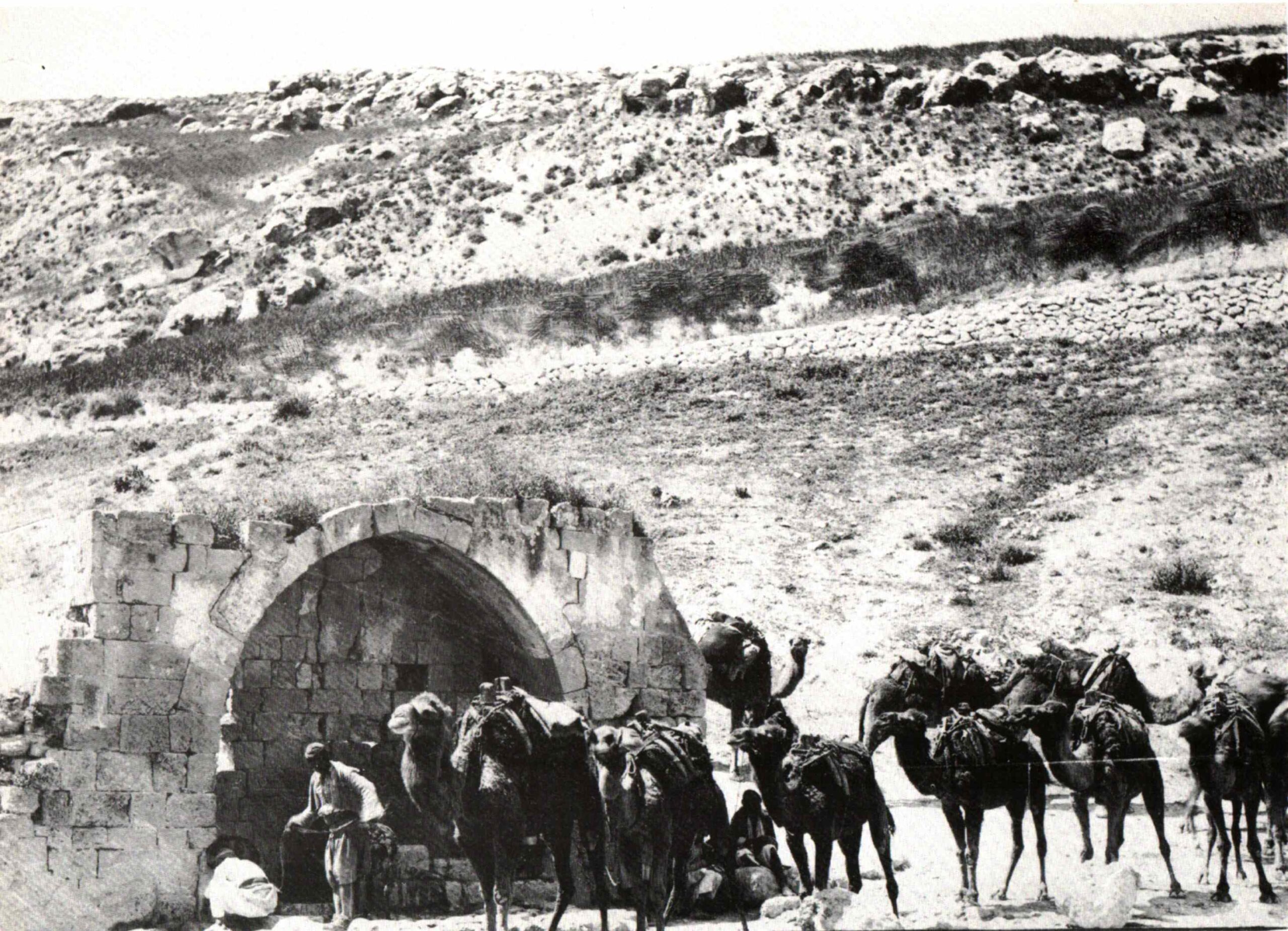 طريق الحج الشامي.. رحلة إيمانية ممتدة لـ 1400 عام من دمشق إلى المدينة 