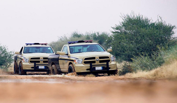 ضبط مواطن مخالف لرعي 18 من الإبل في محمية الملك عبدالعزيز