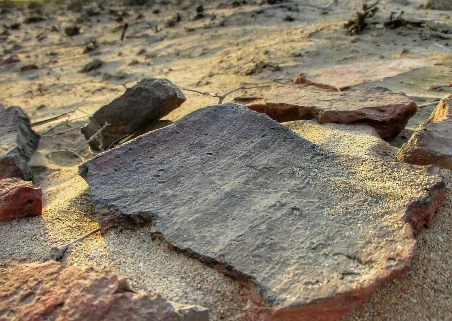 السرين الأثري يكشف أسرار الموانئ الإسلامية على البحر الأحمر 