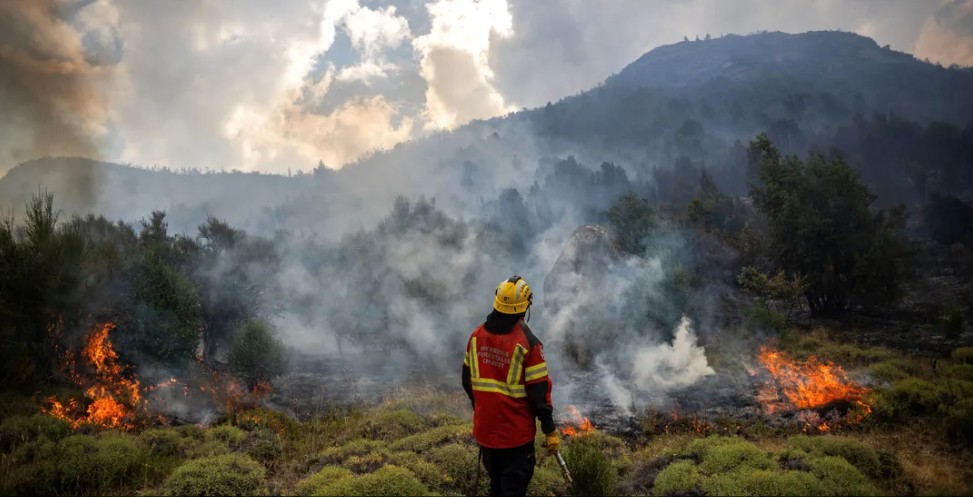 دخان حرائق الغابات يرفع خطر الإصابة بالسرطان