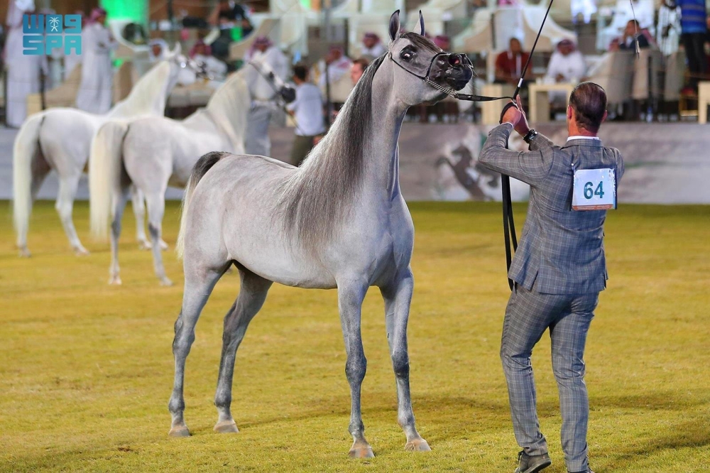 انطلاق بطولة العالم لخيل الجزيرة 2026.. و«الوئام» الناقل الحصري