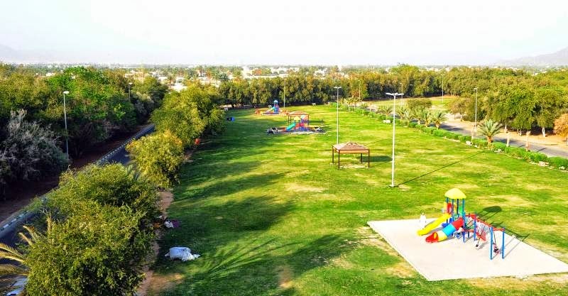11 ألف شجرة تصنع المعجزة.. كيف أصبح متنزه الملك عبدالعزيز متنفس شرورة الأكبر؟