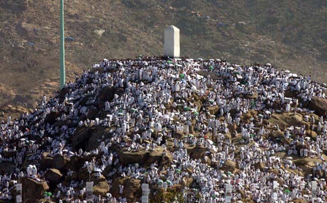عند جبل الرحمة.. دعوات الحجاج ترتفع في أعظم مشاهد يوم عرفة
