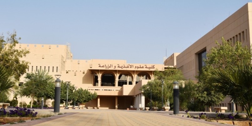 السعودية ترسّخ مكانتها في الابتكار العلمي.. دراسات نوعية تقود المستقبل