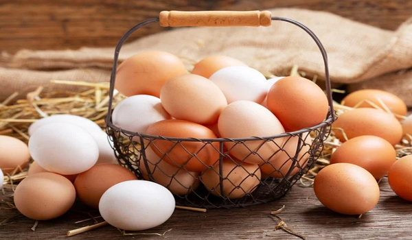 بيض لا يسبب الحساسية.. ما القصة؟