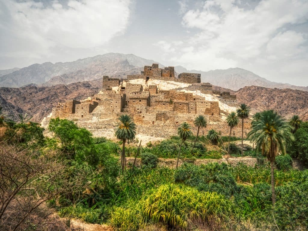 أول مدينة قهوة في السعودية.. الباحة تزرع مستقبل البن الذهبي