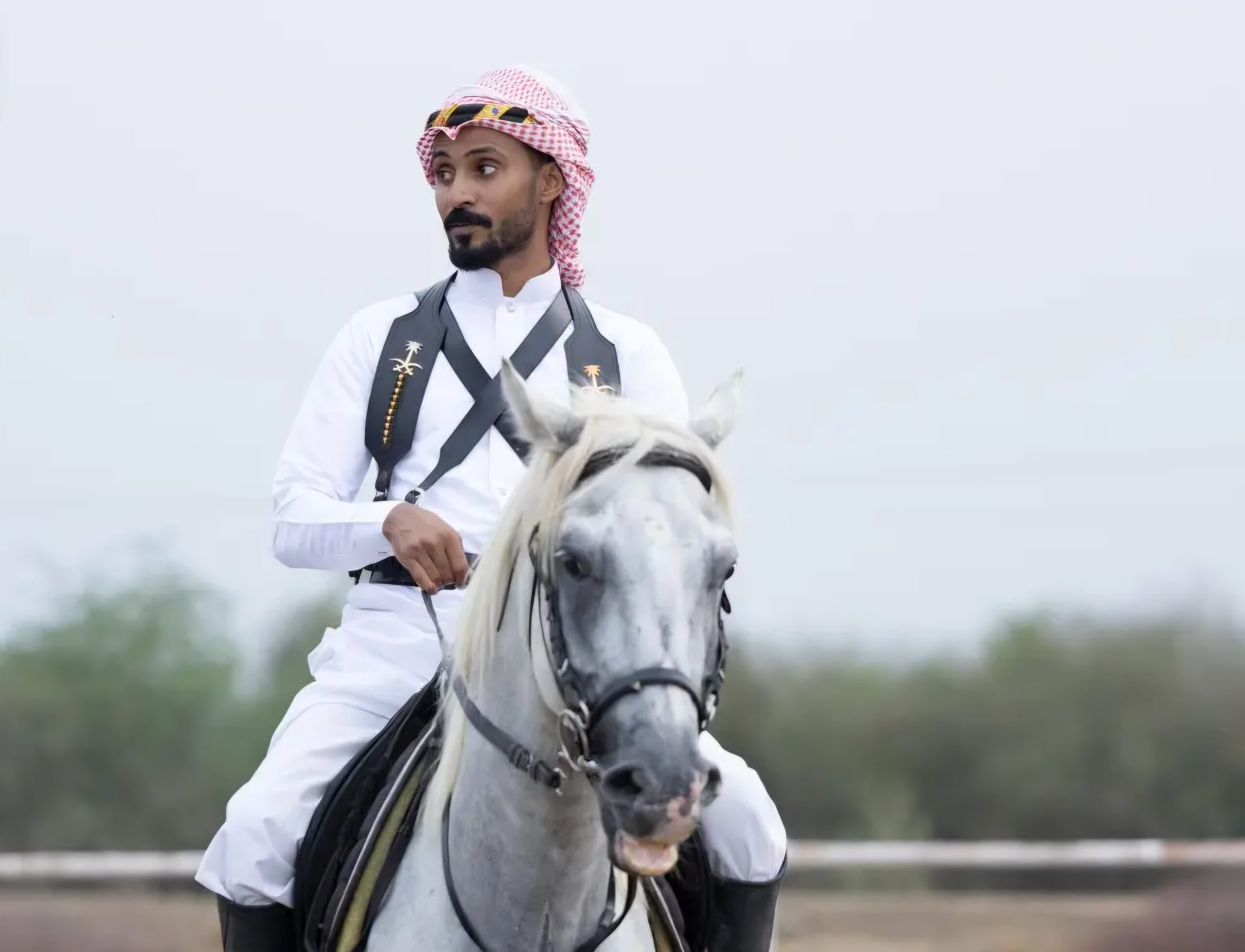 في اليوم العالمي للخيل.. إرث الفروسية يحفظ ذاكرة جازان ويجسد قيم الأصالة والشجاعة