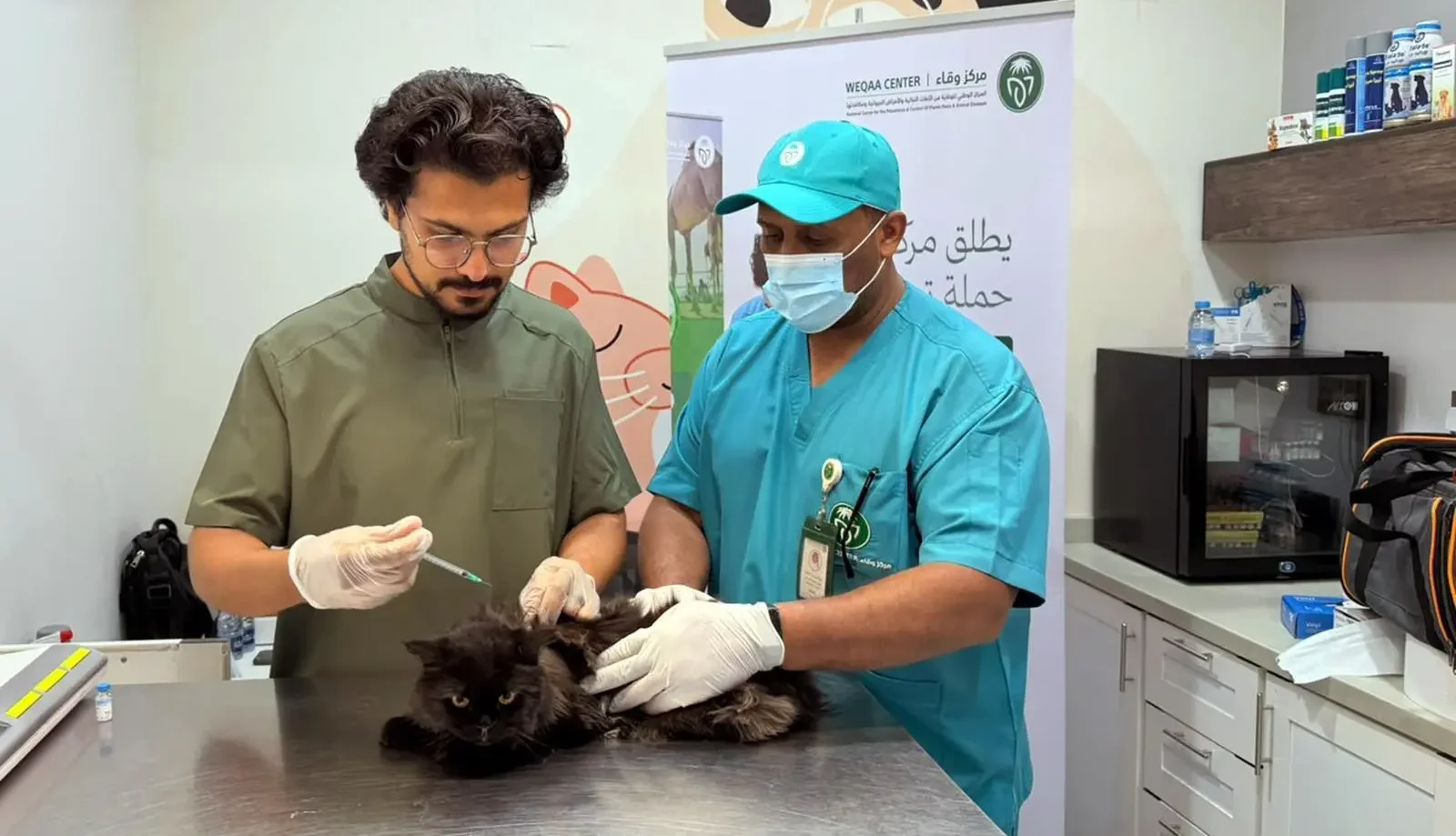 انطلاق حملات مجانية لتحصين الحيوانات الأليفة ضد السعار في عدة مناطق