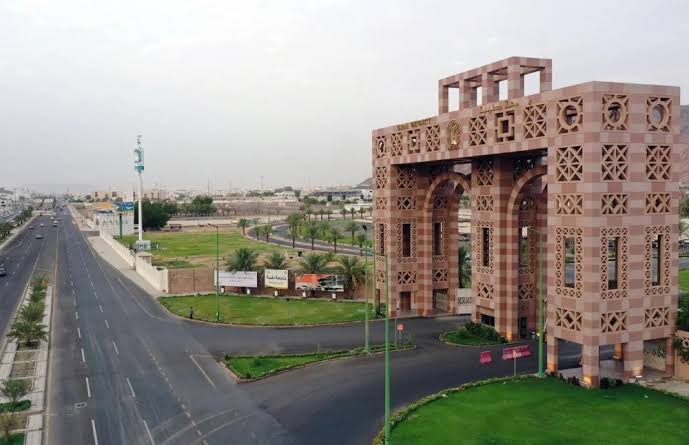 جامعة طيبة تفتح التقديم على دبلوماتها المهنية عن بعد للعام الجديد