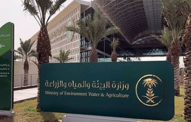 مع ارتفاع الحرارة.. «البيئة» تدعو لترشيد استهلاك المياه وتعزيز الأمن المائي