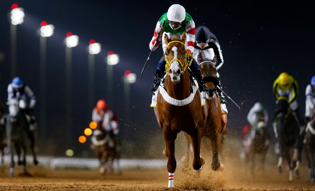 سباقات الخيول العربية