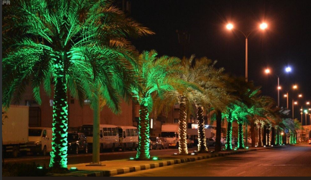 محافظة بدر تنهى استعداداتها للاحتفاء باليوم الوطني