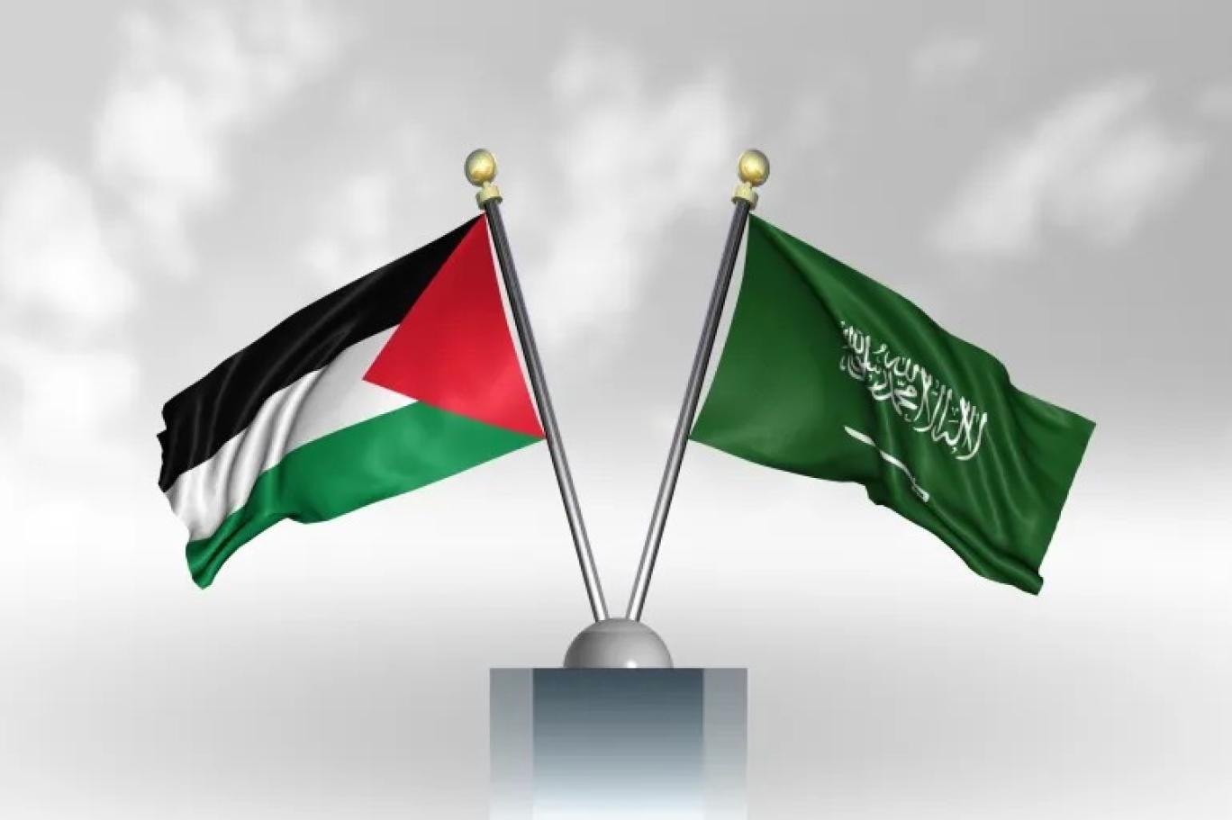 حملة سعودية لإغاثة فلسطين